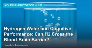 Hydrogen Water and Cognitive Performance: Can H2 Cross the Blood-Brain Barrier?
